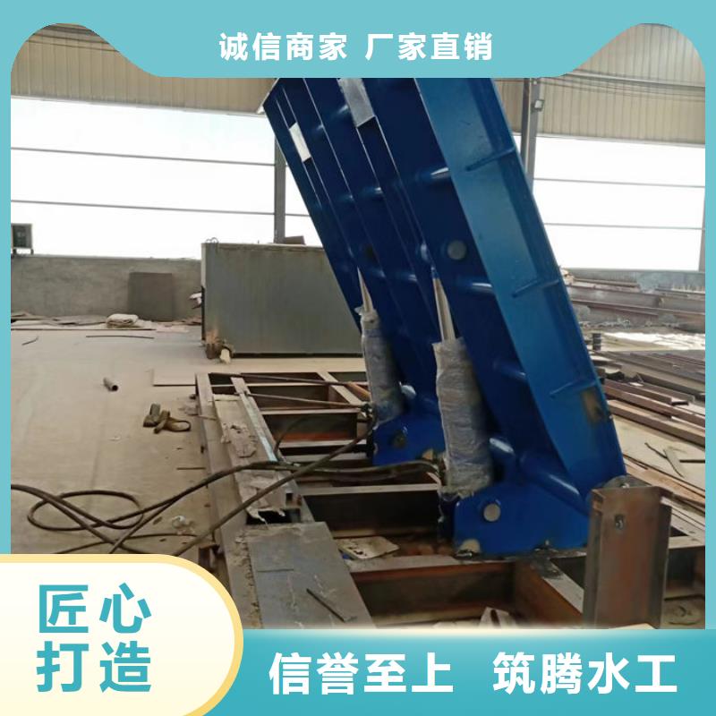 底横轴旋转液压钢坝厂家直发免费寄样