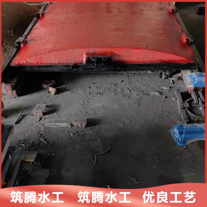 ZMF铸铁镶铜闸门公道合理层层质检