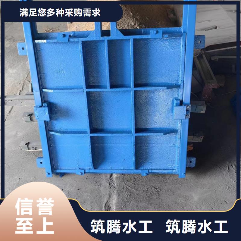 铸铁镶铜闸门厂家直营当地公司