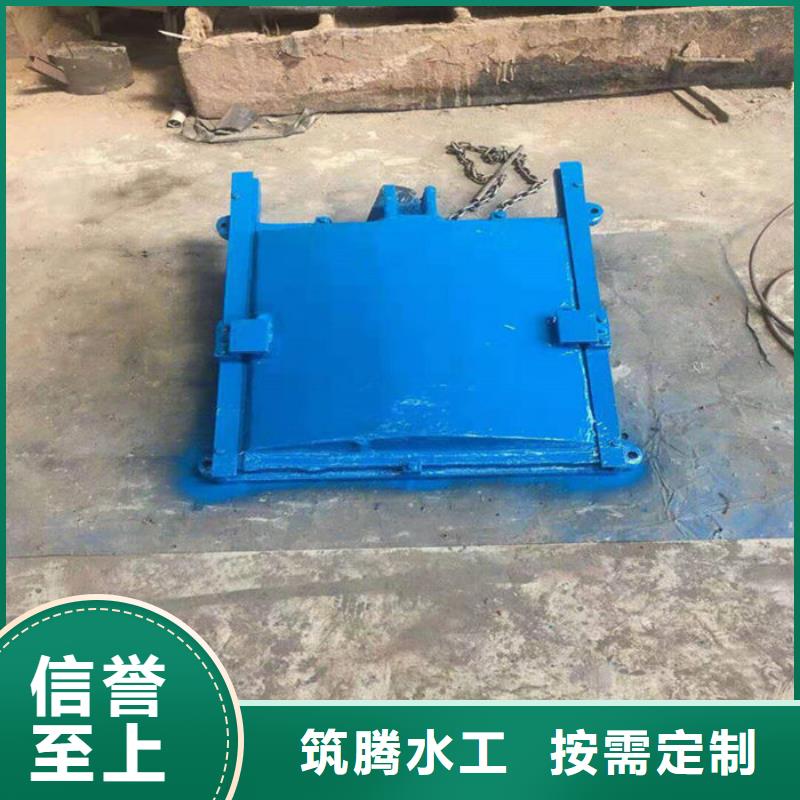 机门一体闸门厂家直销规格多样本地制造商