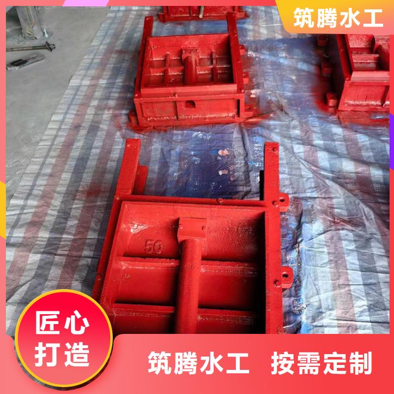 PGZ铸铁闸门实体厂家支持本土制造商