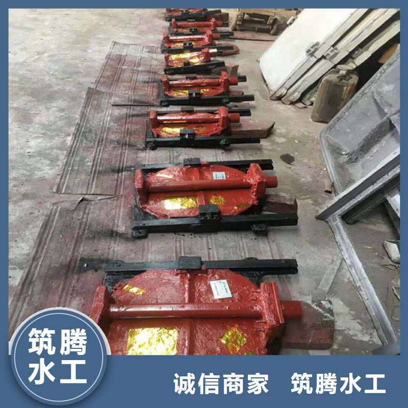 机闸一体式闸门厂家现货供应直销厂家