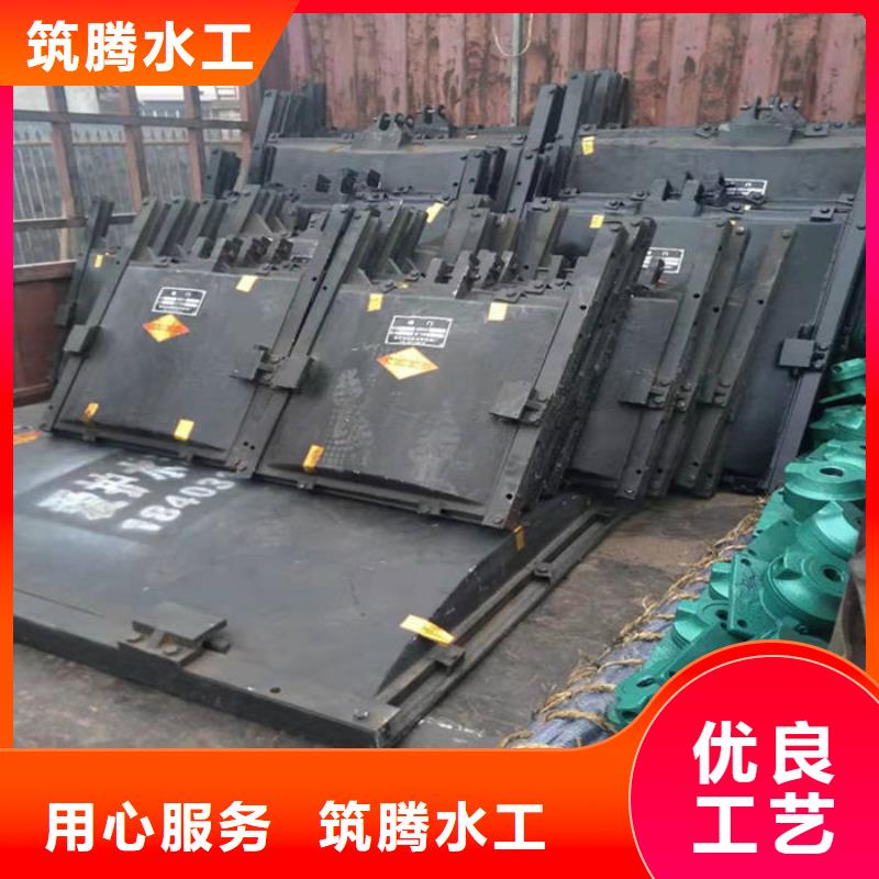 泵站铸铁闸门用心经营当地公司