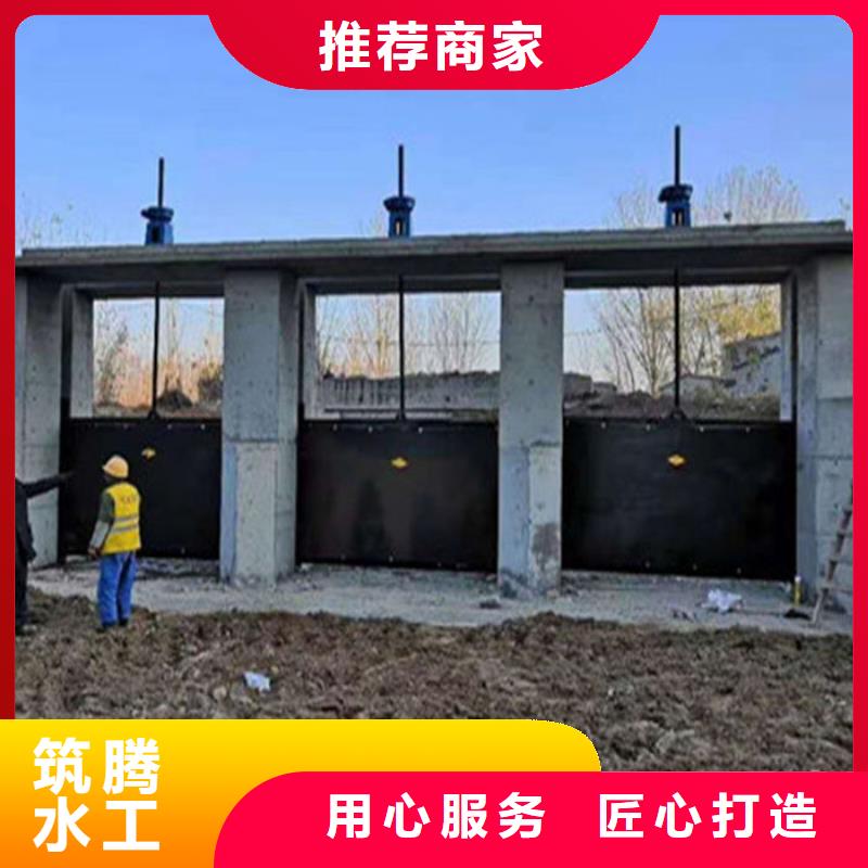 水库铸铁闸门注重细节敢与同行比价格
