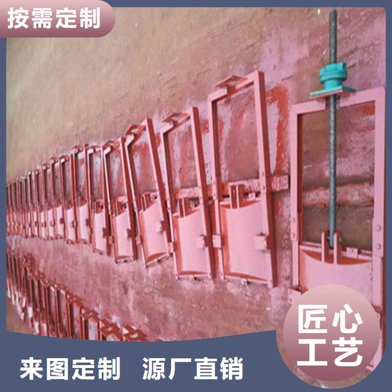 机闸一体式闸门工程施工案例精选厂家好货