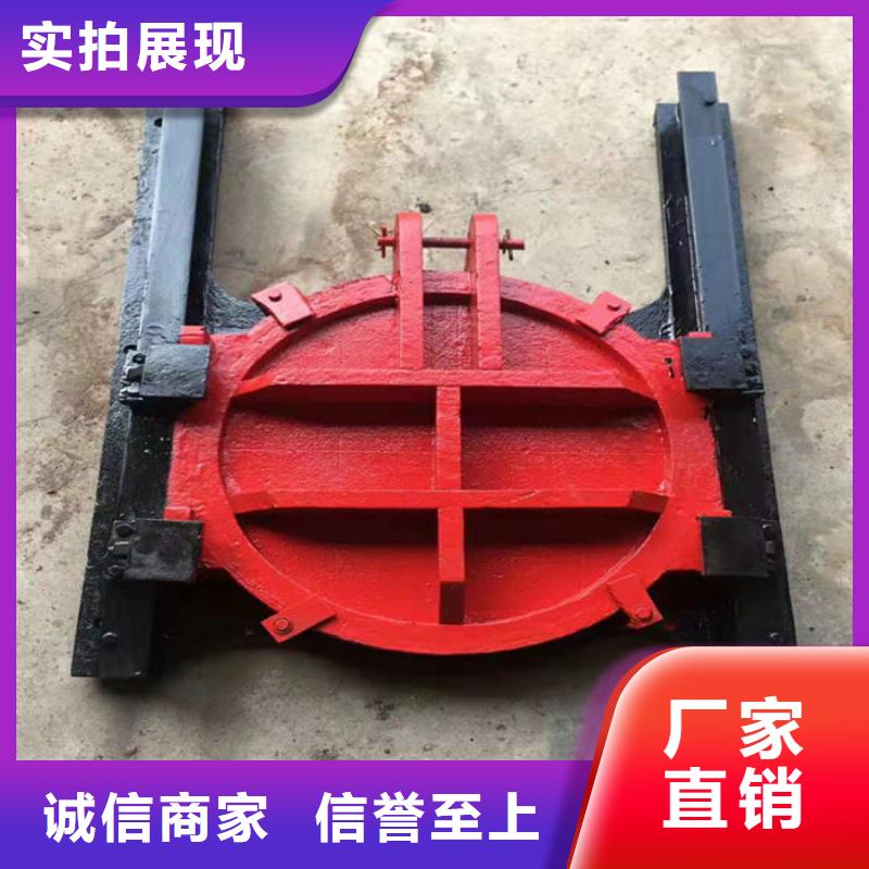 机闸一体式闸门厂家直营同城品牌