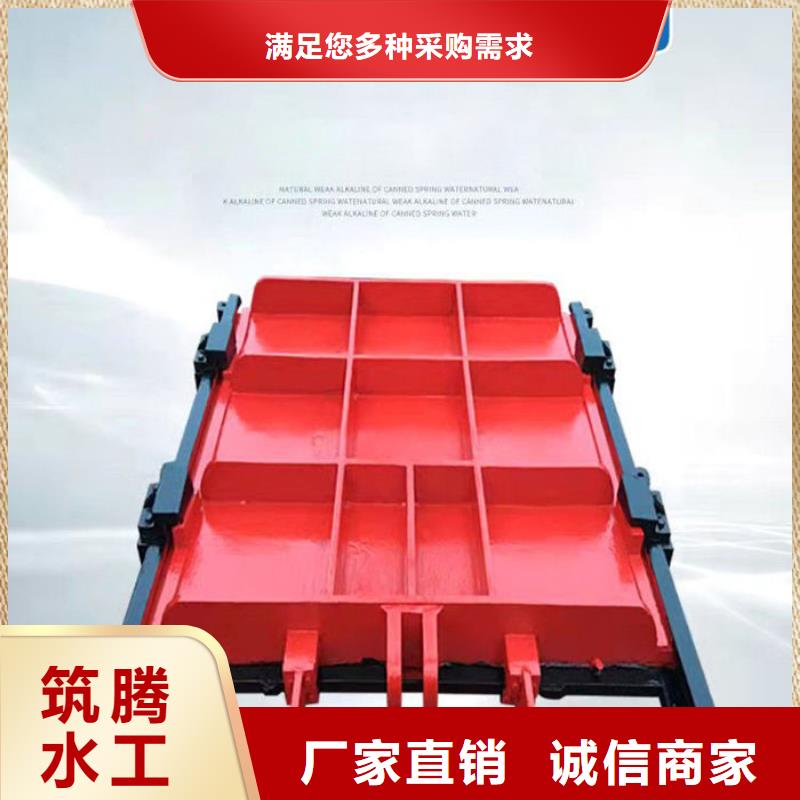 单向铸铁闸门源头厂家自有厂家