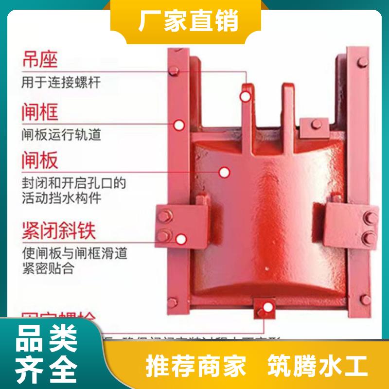 雨污分流闸门型号齐全本地服务商