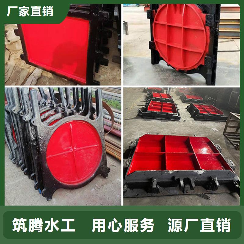 机闸一体式闸门厂家直销货源充足