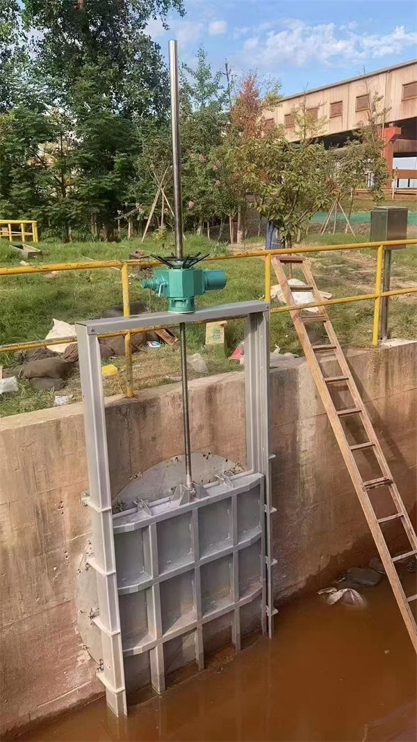 铸铁闸门_一体式闸门诚信经营