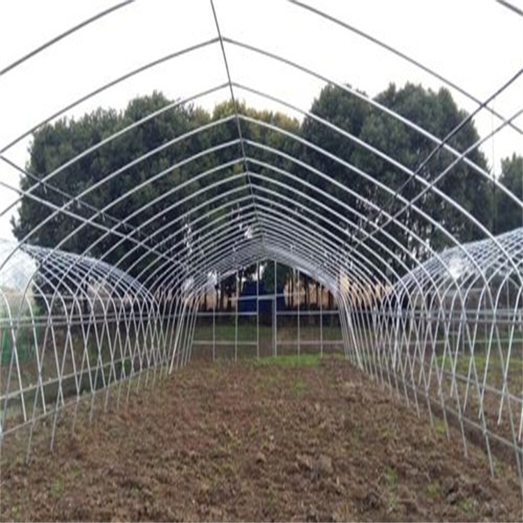 连栋大棚管|连栋温室大棚管有现货