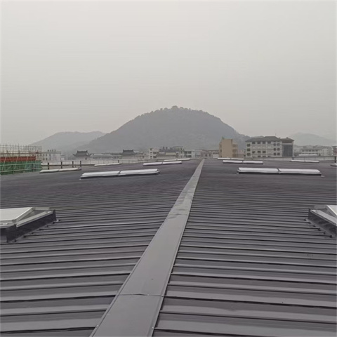 TC10E-2040n薄型通风天窗物流快捷