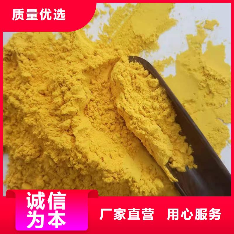 南瓜粉羽衣甘蓝粉实力商家供货稳定厂家直营