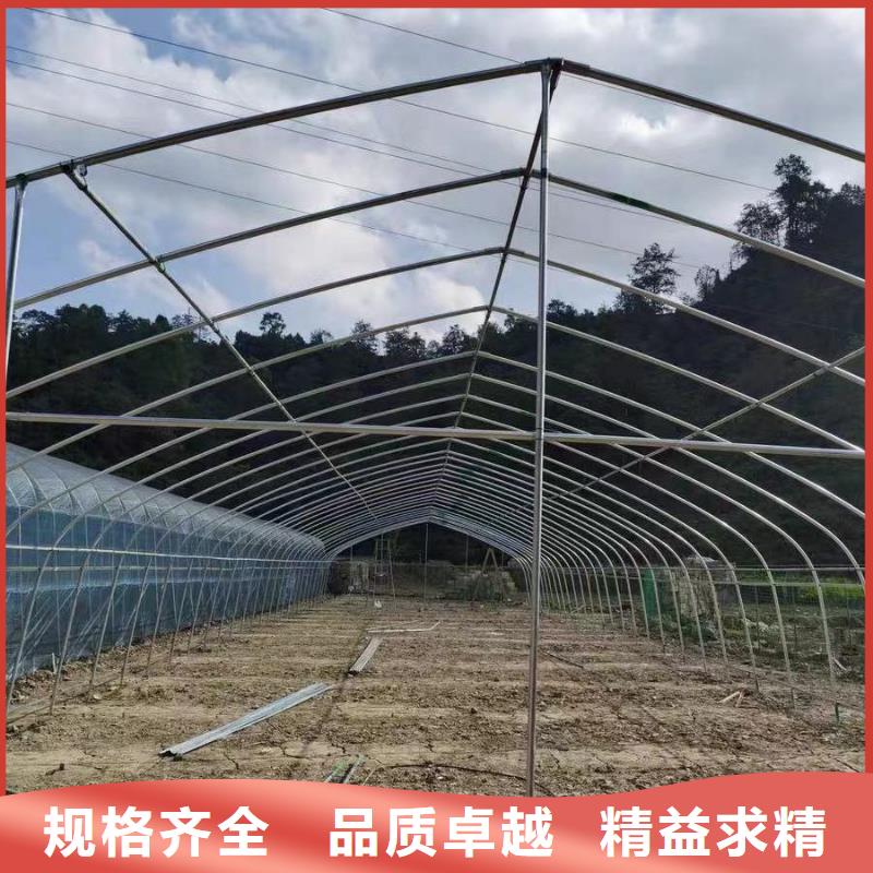 【大棚管-方管一对一为您服务】当地生产商