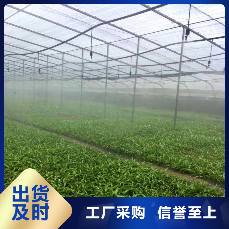 大棚管2_蔬菜温室大棚管有实力有经验货真价实