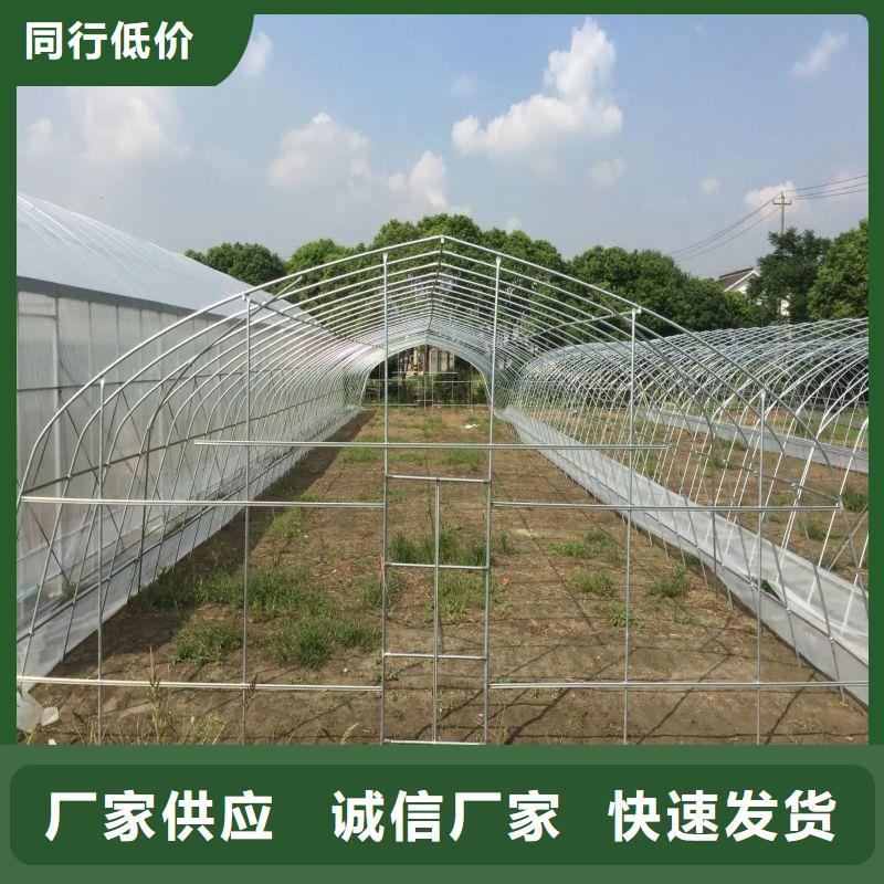 大棚管2 镀锌大棚管N年生产经验同城 本地域生产商