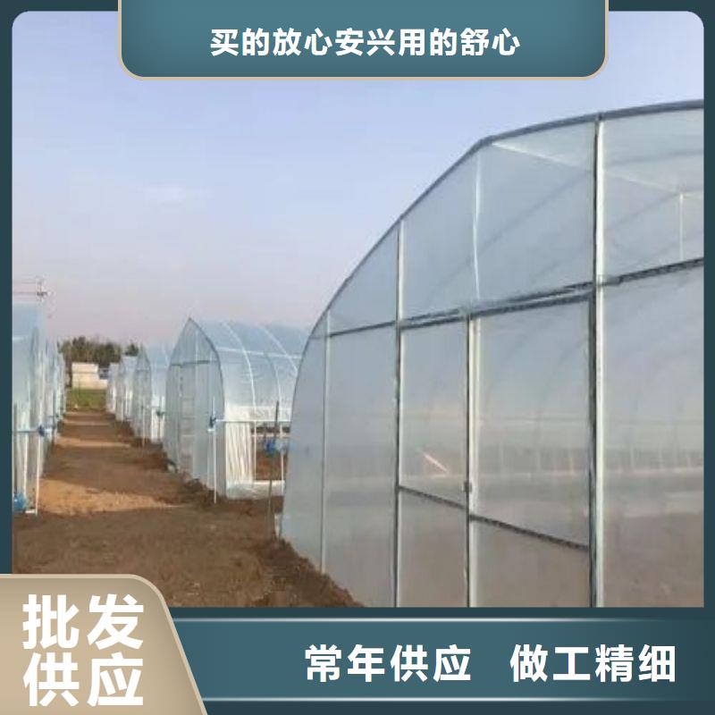 【大棚管2】,椭圆管温室大棚质量层层把关当地供应商