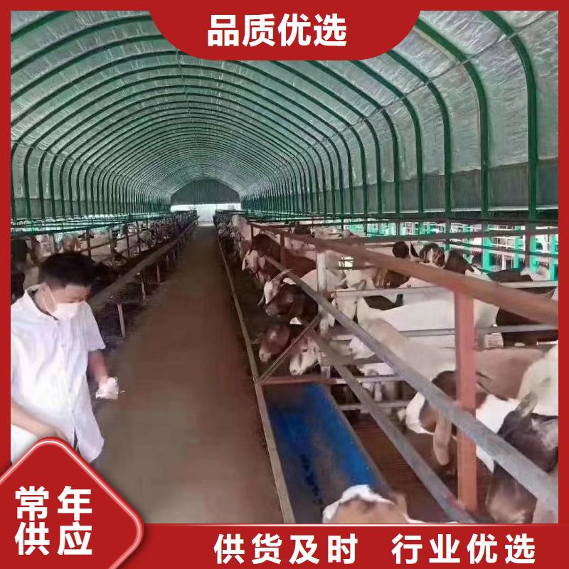 大棚管现货销售同城生产厂家