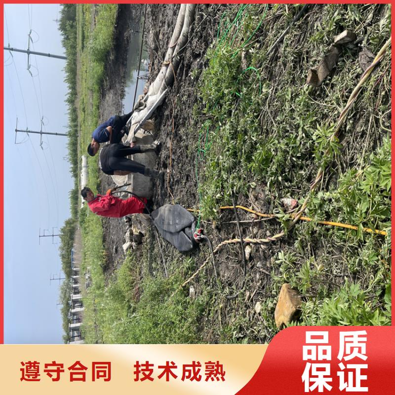 护坡破损模袋修复公司-承接各种潜水工程全市24小时服务