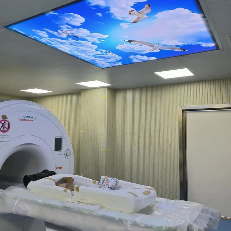 批发单开平移铅门_精选厂家