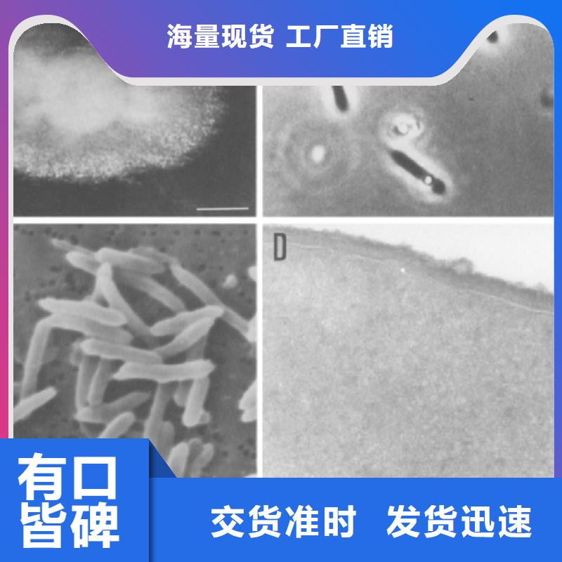 碳源生产精心选材