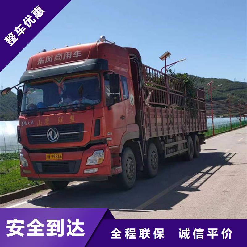 成都到南阳回程货车整车运输公司天天发车,可上门取货