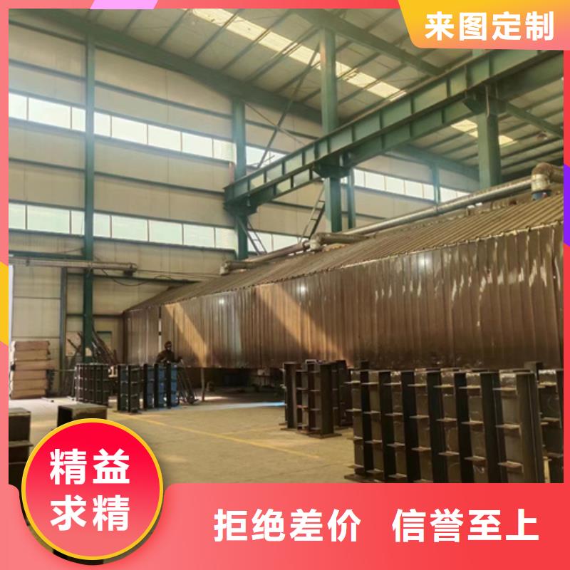 景观护栏桥梁防撞护栏厂加工定制本地生产商
