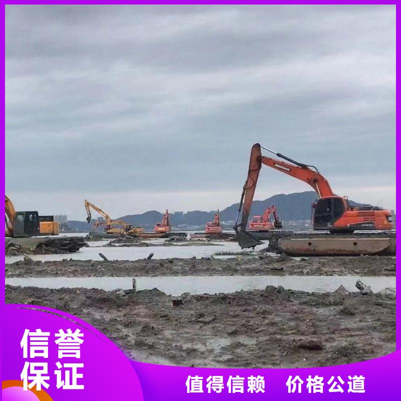 水陆挖掘机【水挖出租】质量保证当地供应商