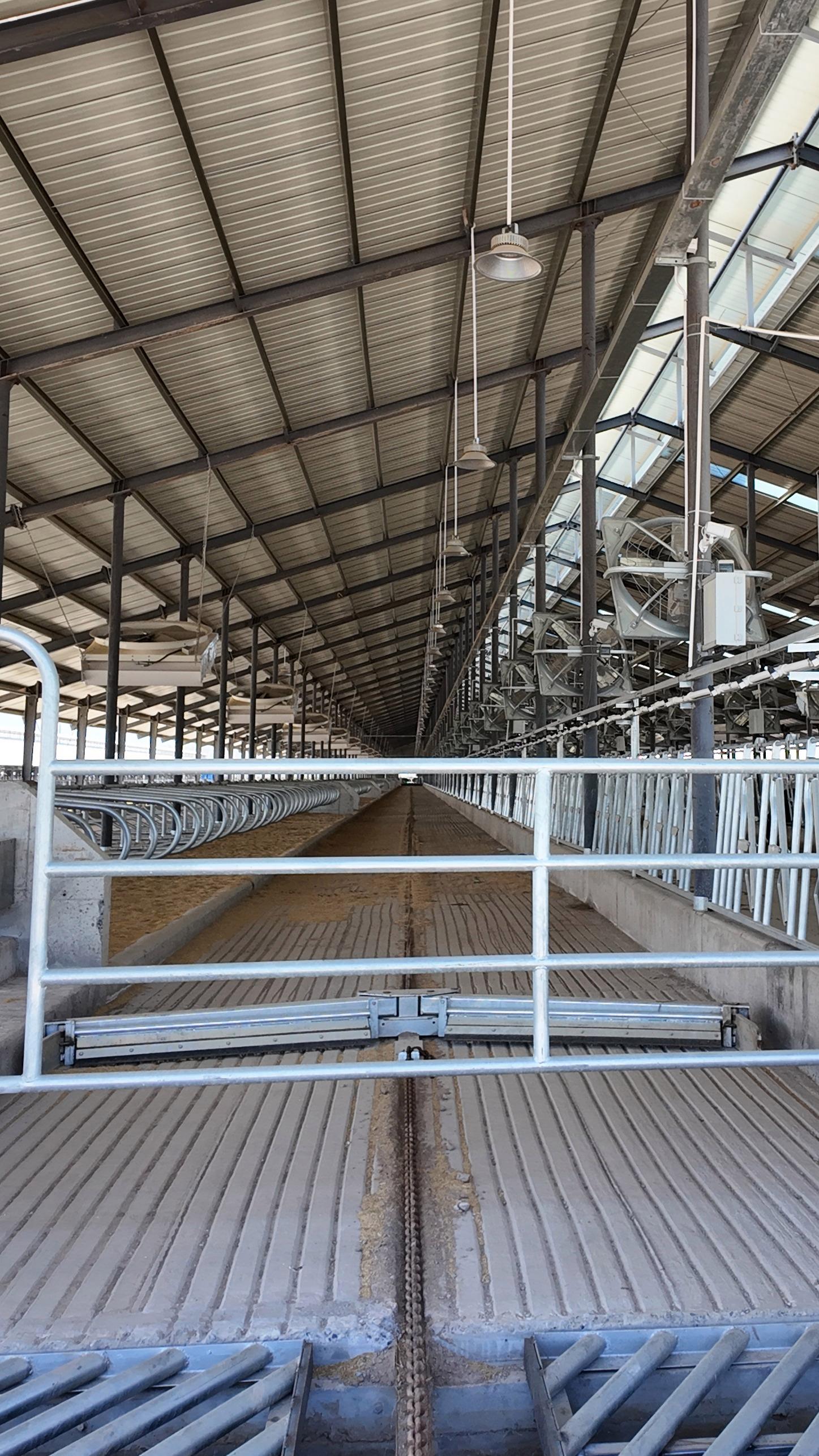 一拖二刮粪机衡泰价格行情专业生产厂家