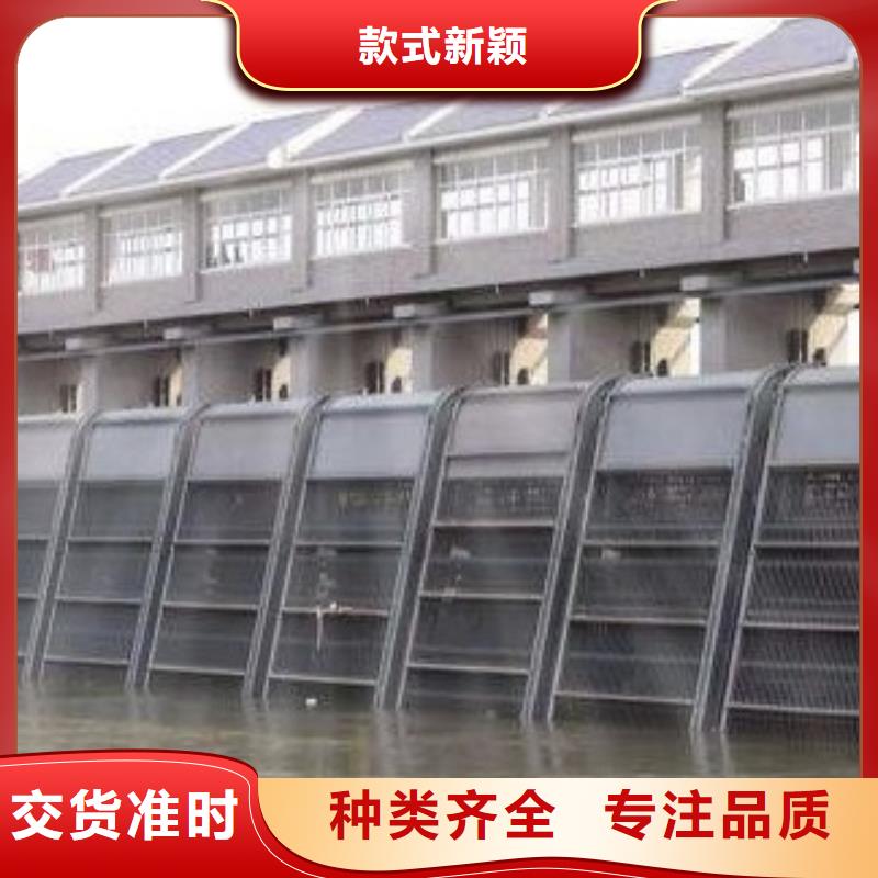 清污机钢制拍门厂家工程施工案例匠心品质