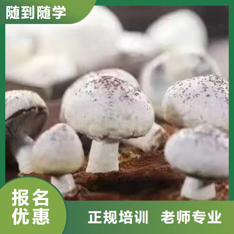 西点学校虎振挖掘机正规培训手把手教学