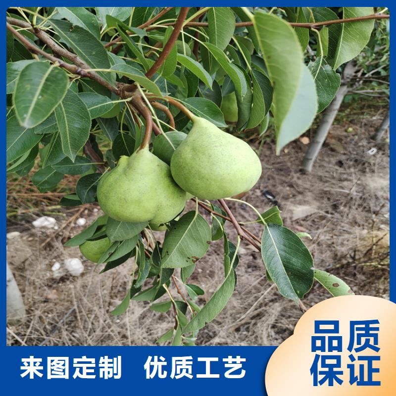 【梨树花椒苗值得买】来图加工定制