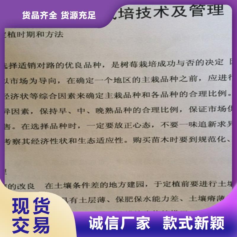 树莓葡萄苗极速发货高标准高品质