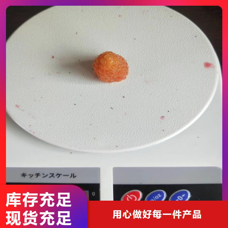 ​【树莓苹果苗的简单介绍】专业的生产厂家