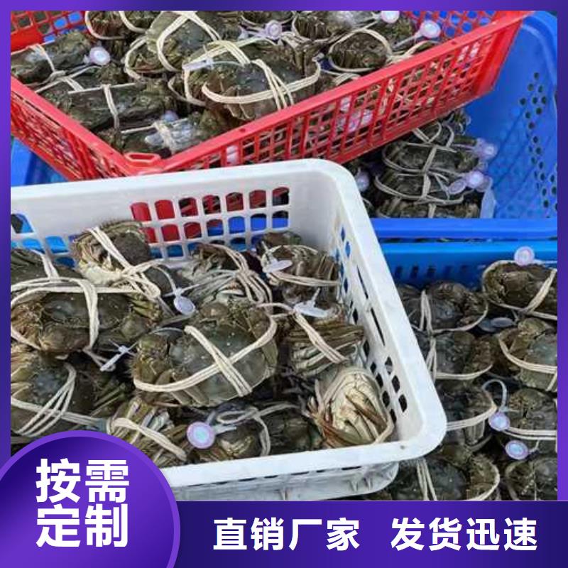 江苏阳澄湖大闸蟹哪里好优良工艺