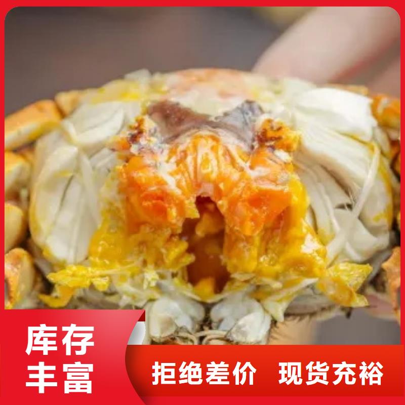 蟹阳澄湖大闸蟹到哪里买发货迅速本土货源