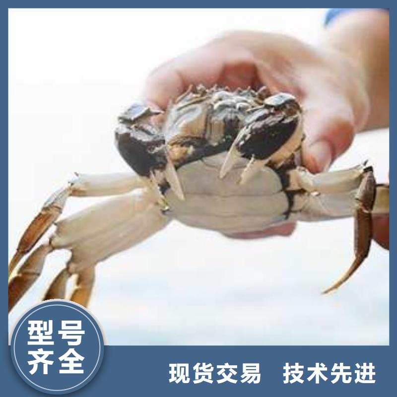 蟹近的阳澄湖大闸蟹销售点规格型号全打造好品质