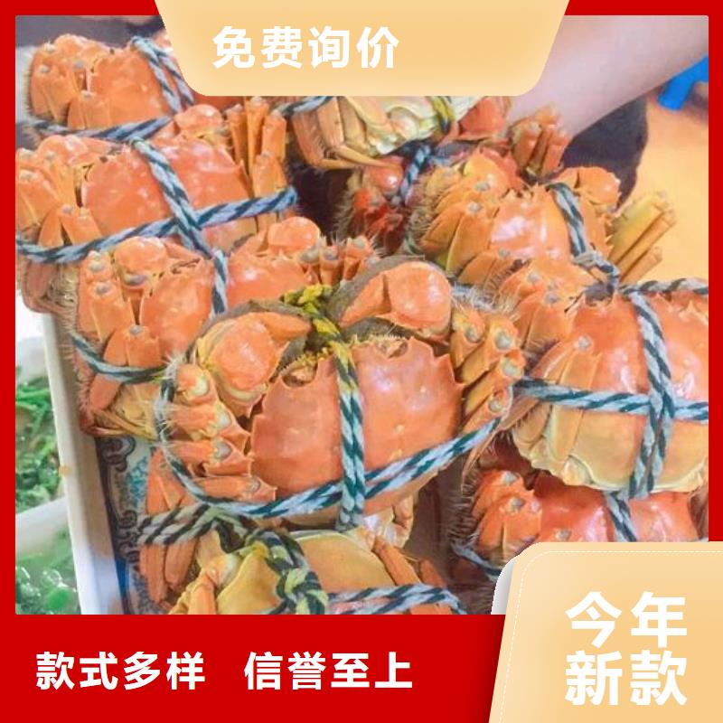 蟹,阳澄湖大闸蟹哪个品牌正宗拒绝差价生产厂家
