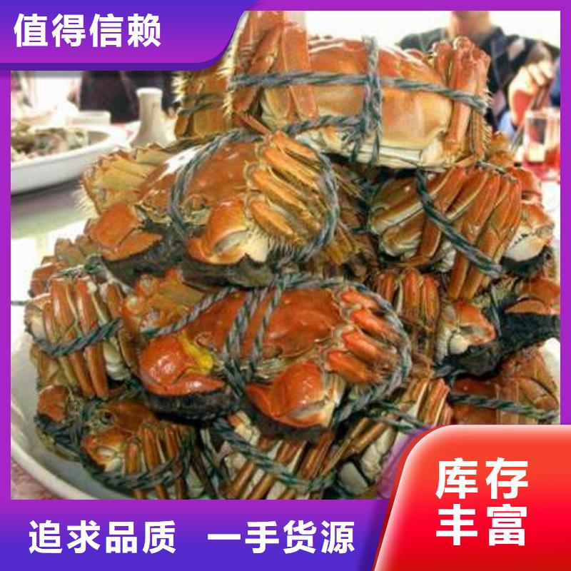蟹阳澄湖大闸蟹几月份吃认准大品牌厂家敢与同行比服务