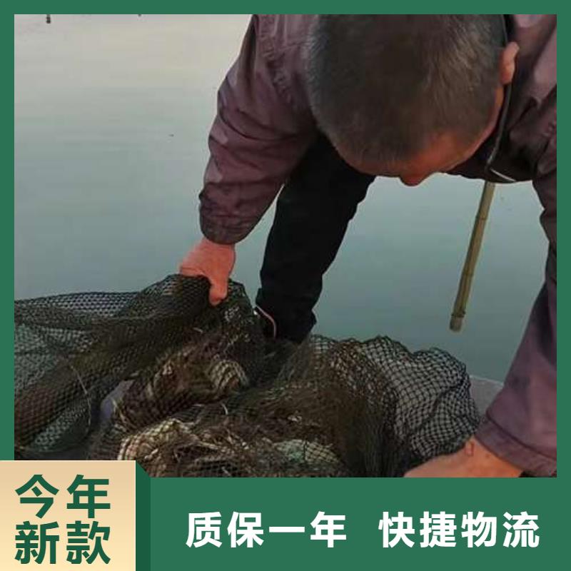 蟹阳澄湖大闸蟹礼盒品牌专营辖区内公司