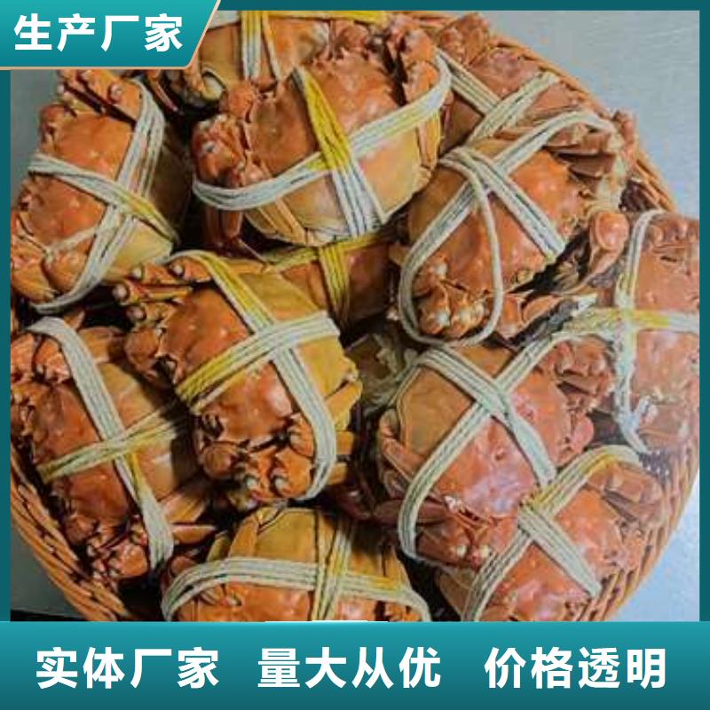 蟹阳澄湖大闸蟹批发店专业的生产厂家本地区品牌