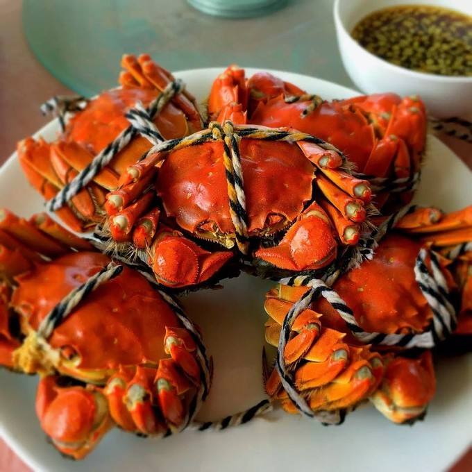 蟹阳澄湖大闸蟹哪个品牌正宗专业生产设备