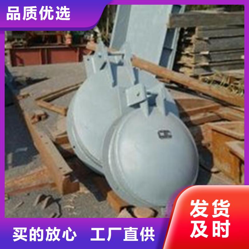 拍门卧管管道拍门免费获取报价好货有保障