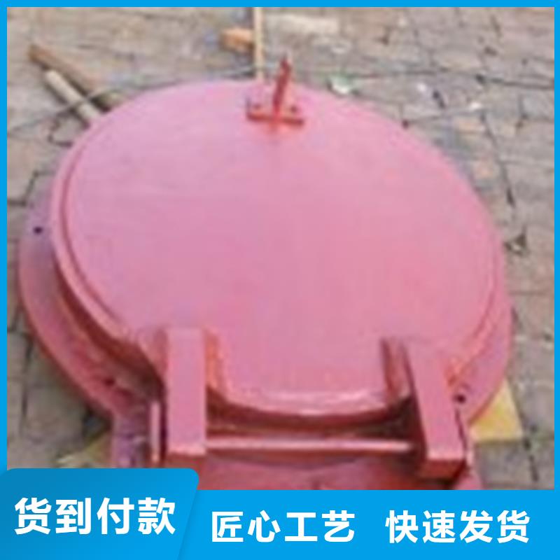 拍门_节能式侧翻式拍门产品实拍多种优势放心选择