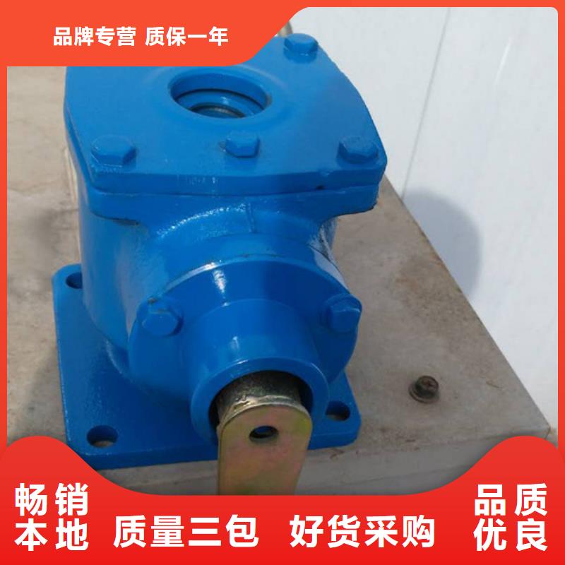 卷扬启闭机10吨手电两用启闭机经久耐用本地品牌