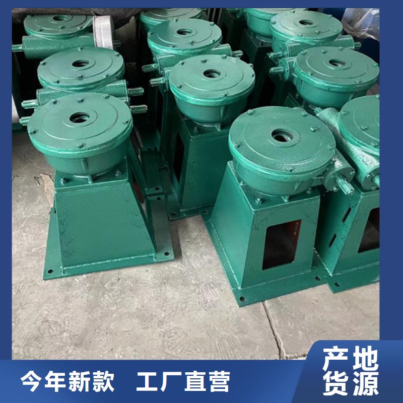 卷扬启闭机直连螺杆式启闭机满足不同水利工程需求同城生产商