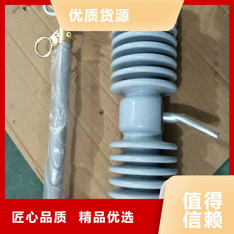 熔断器,支柱绝缘子好品质经得住考验厂家直销货源充足