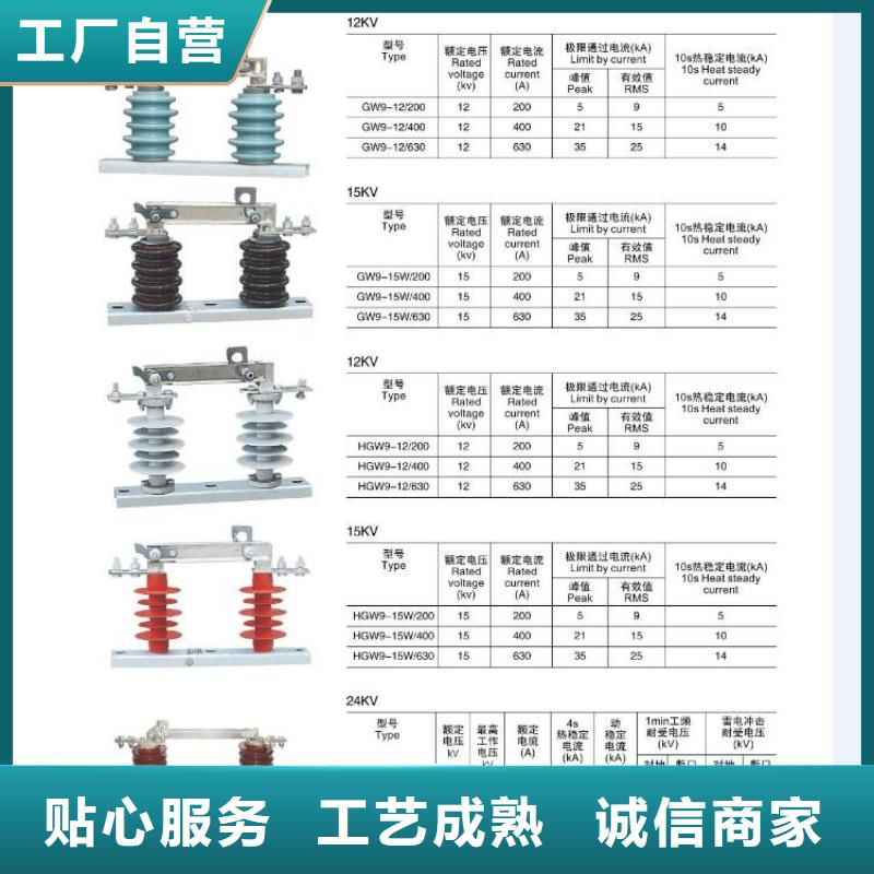 【高压隔离开关-绝缘子做工精细】同城生产商