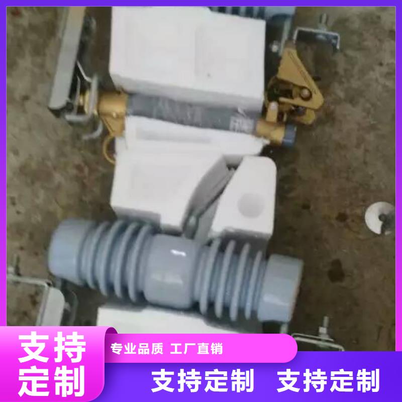 熔断器【避雷器】工期短发货快量大更优惠