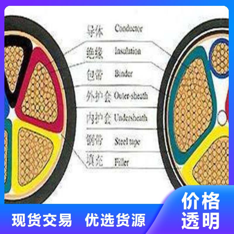 特种电缆电缆生产厂家生产经验丰富厂家货源稳定